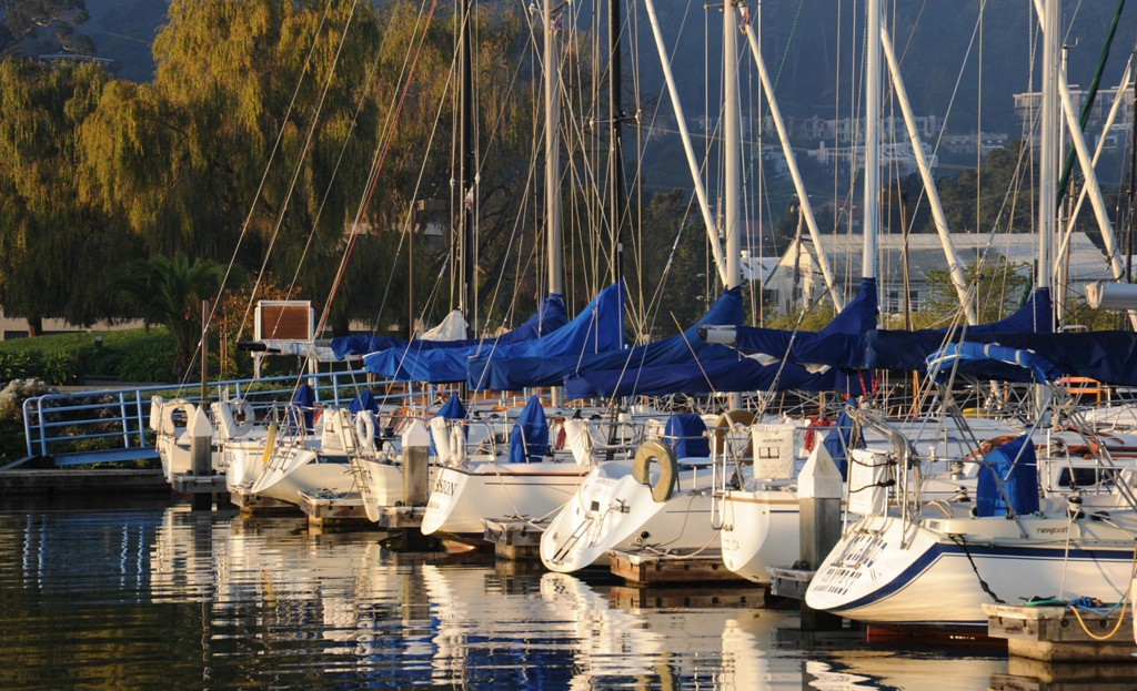 The Silver Fleet at Modern Sailing School and Club in Sausalito, California