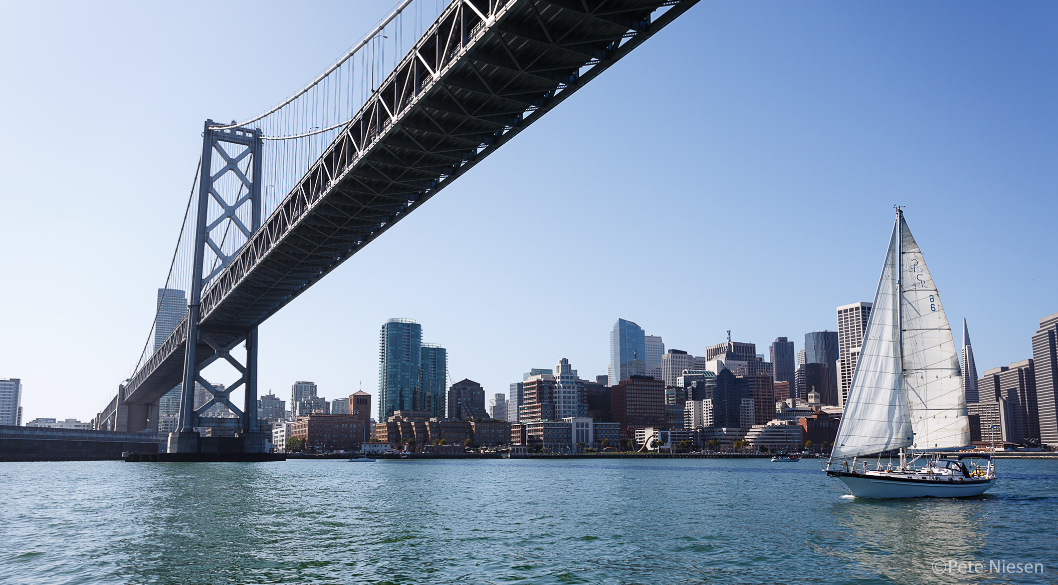 Sailing under the Bay Bridge while on a skippered charter with Modern Sailing School & Club