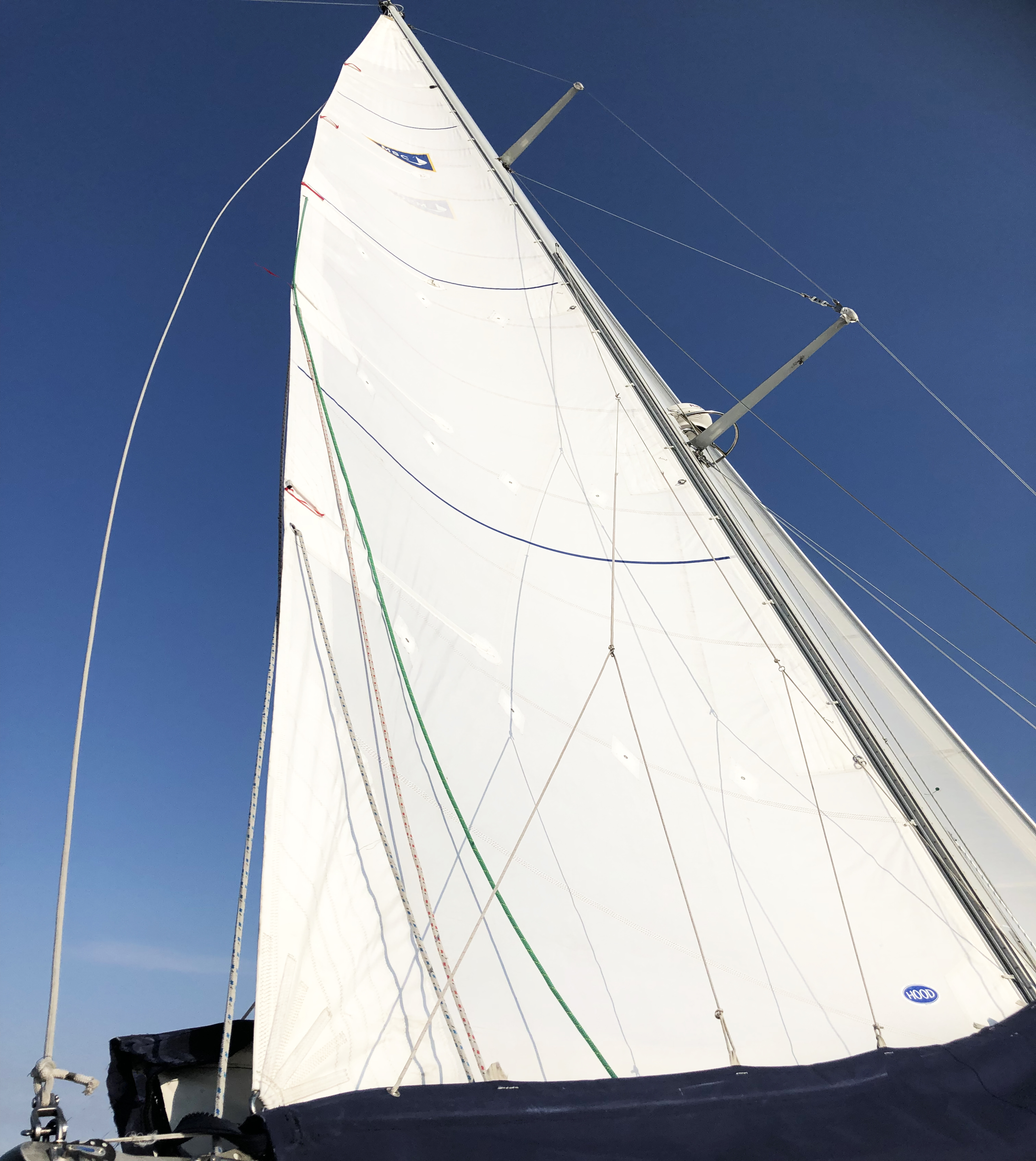 raising the mainsail on a sailboat