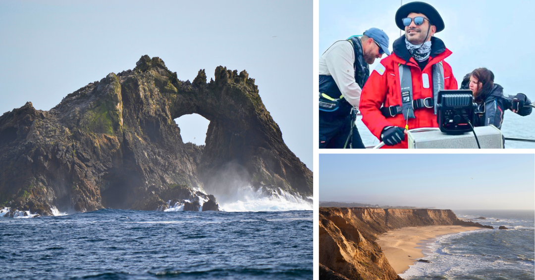 Farallon Islands, Half Moon Bay