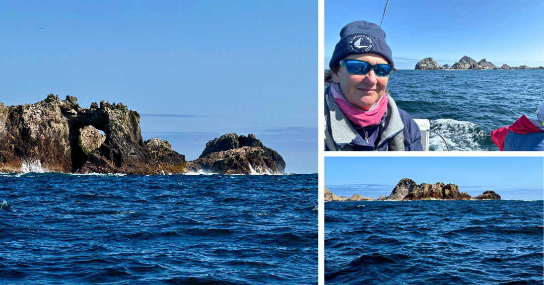 Farallones Islands Sept 13, 2025 by Andrea Geisinger