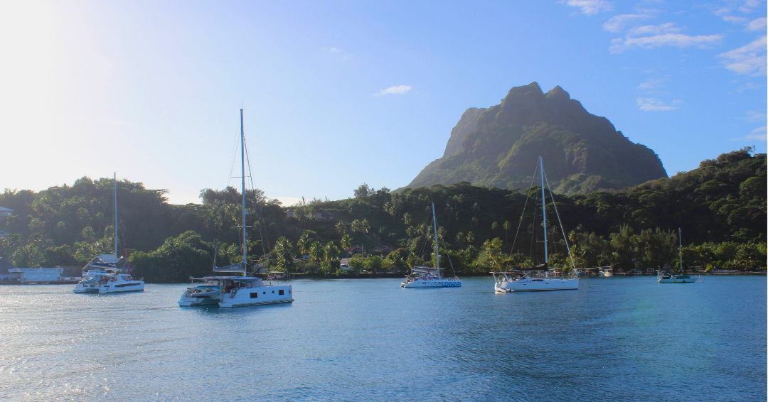 Catamarans Moored_Sailing Society Islands 2026_by Jessica Wilbur
