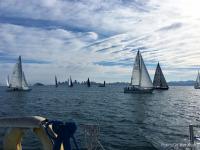 sailboat race san francisco