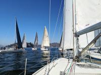 sailboat race san francisco