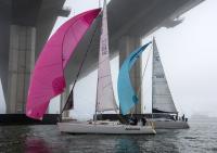 sailboat race san francisco