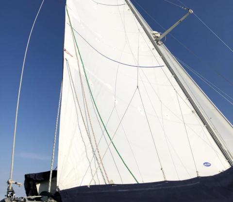 raising the mainsail on a sailboat