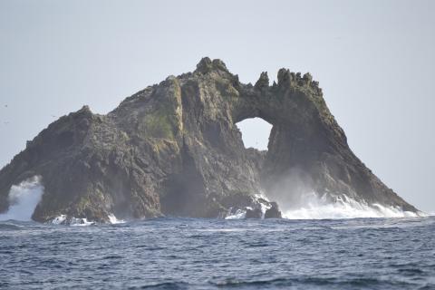 The Farallones Islands.  Spend a day sailing out the Golden Gate and to the Farallon Islands with Modern Sailing School and Club